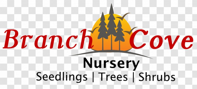 Branch Cove Nursery Tree Cutting Seedling - Mail Order Transparent PNG