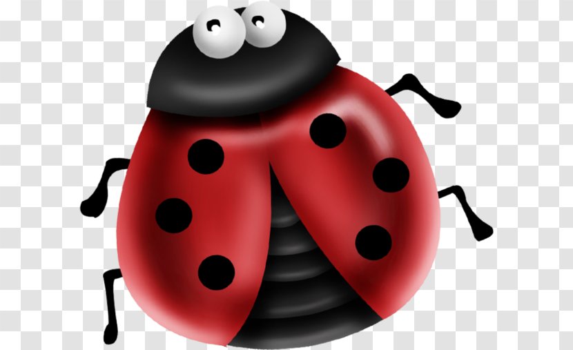 Ladybird - Cartoon - Beetle Ladybug Transparent PNG