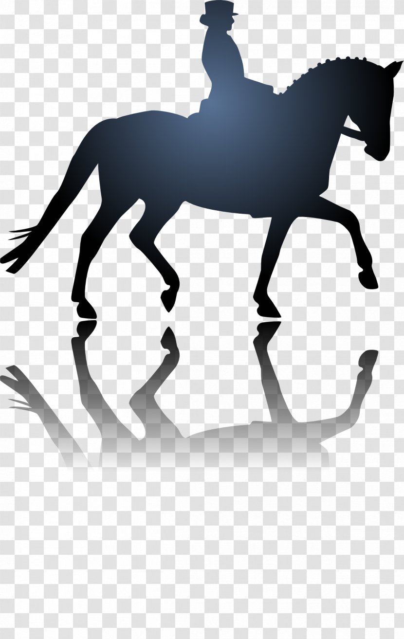 Equestrian Horse Dressage Stencil - English Riding Transparent PNG