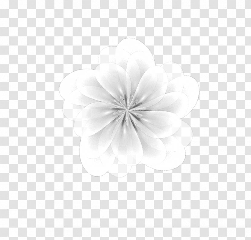 White Petal Flower Transparent PNG