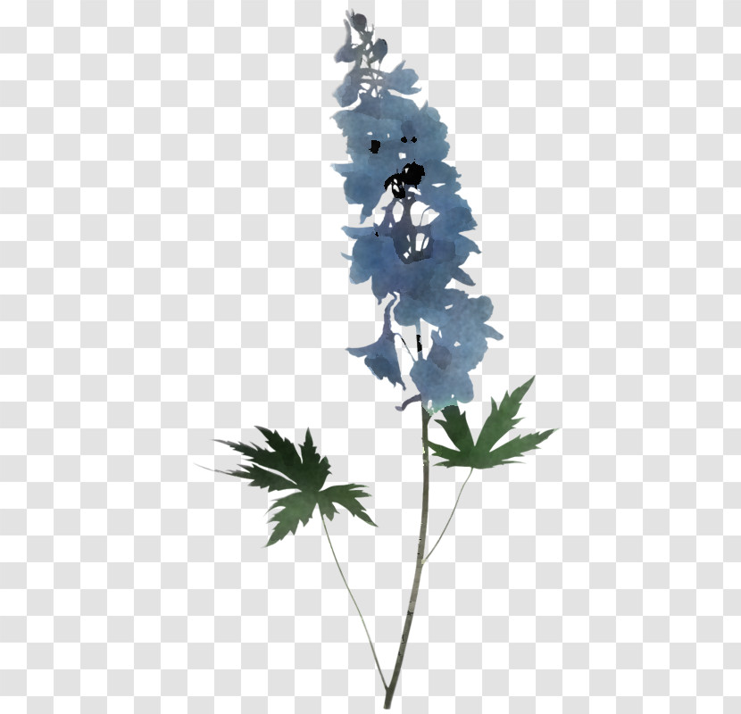 Flower Plant Leaf Delphinium Tree Transparent PNG