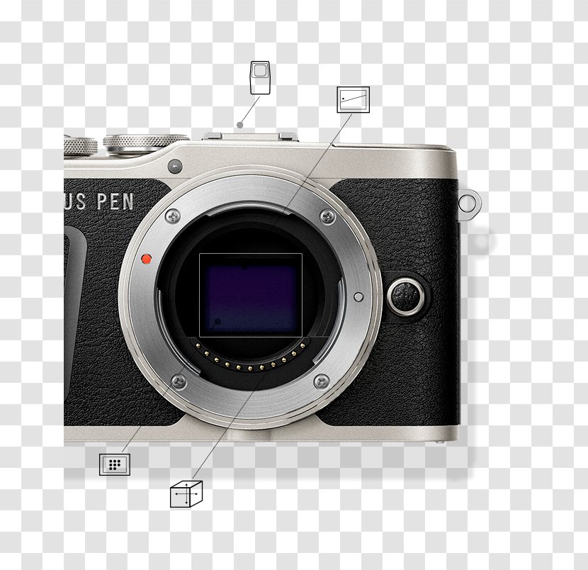 Olympus PEN E-PL7 E-PL9 Mirrorless Interchangeable-lens Camera - Photography Transparent PNG