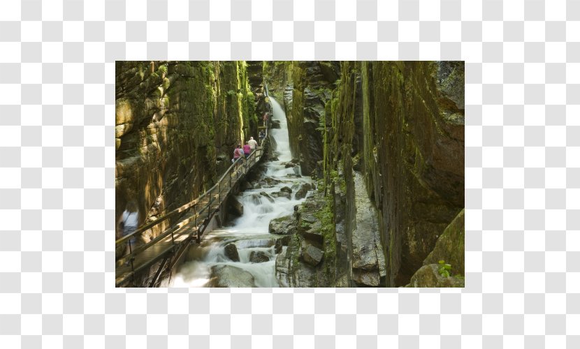 Mount Liberty Lost River The Flume Woodwards Resort State Park - Rainforest Transparent PNG