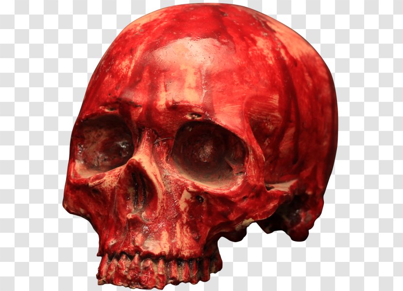 Skull Blood Skeleton Bone 骷髅 - Watercolor Transparent PNG
