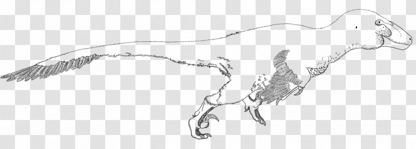 Canidae Dog Mammal Drawing Sketch - Pet - Dinosaur Transparent PNG