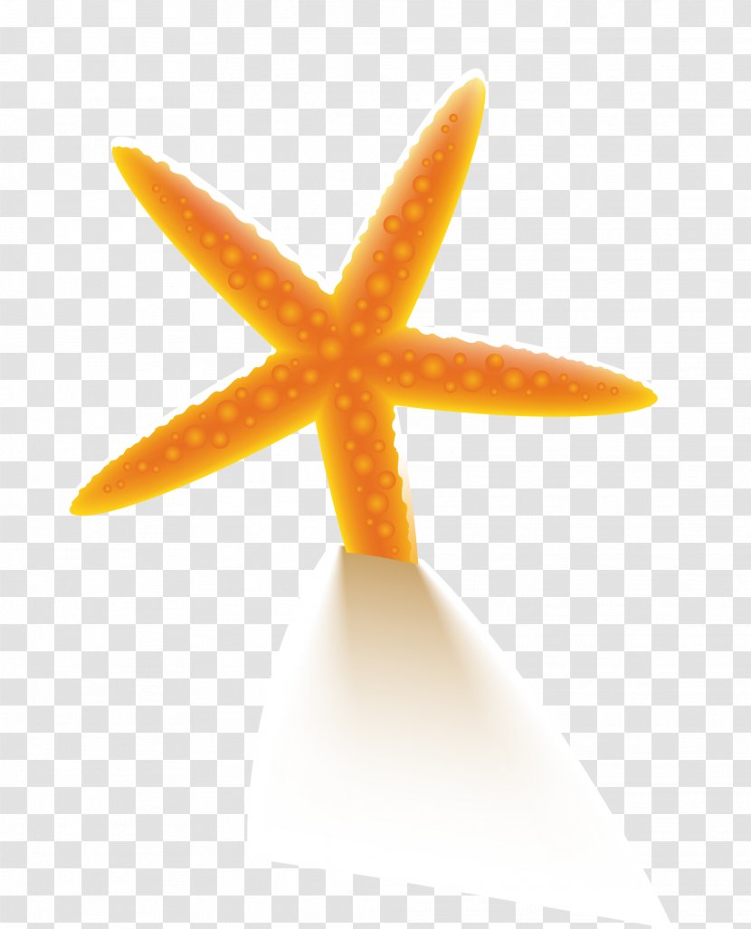 Starfish - Star - Orange Beach Transparent PNG