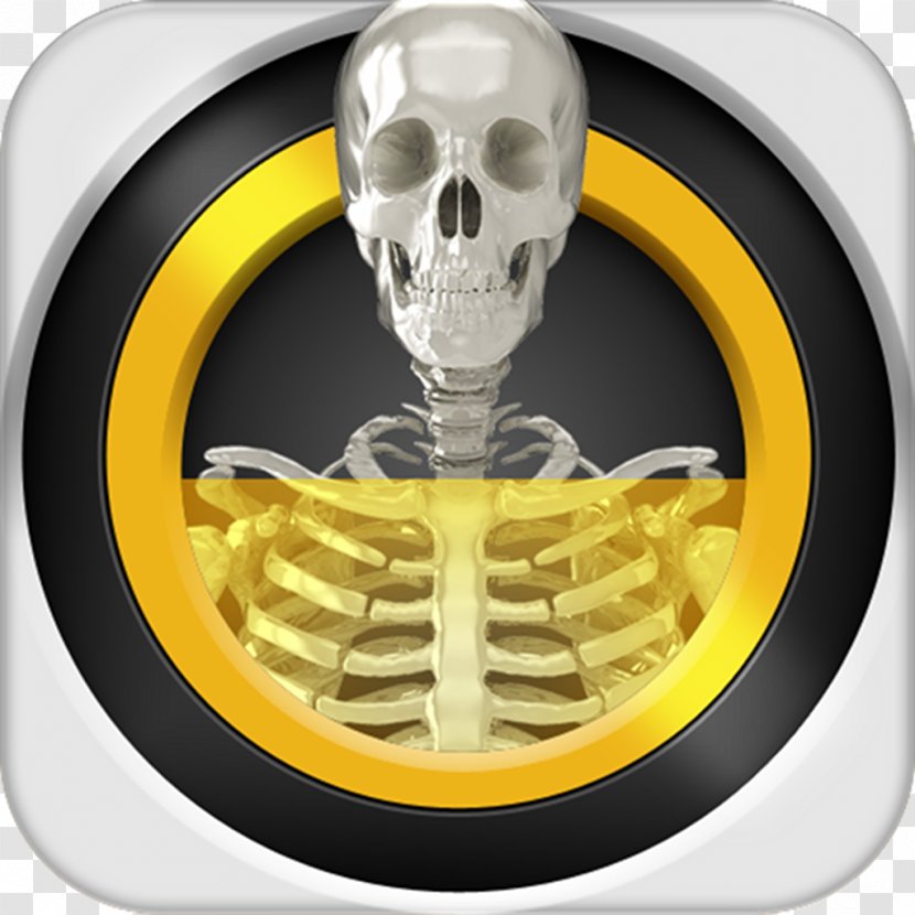 Real X-ray Scanner Simulator Backscatter Android - Xray Transparent PNG