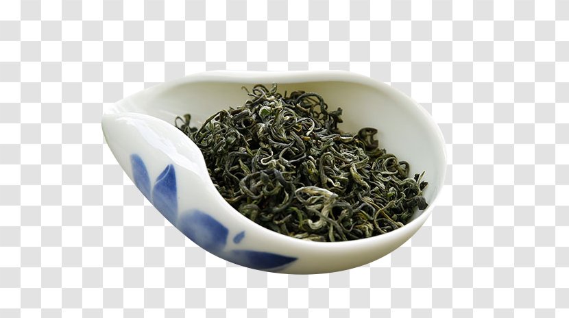 Green Tea Xinyang Maojian Biluochun Horse Road - Recipe - A Small Bowl Of Queshe Transparent PNG