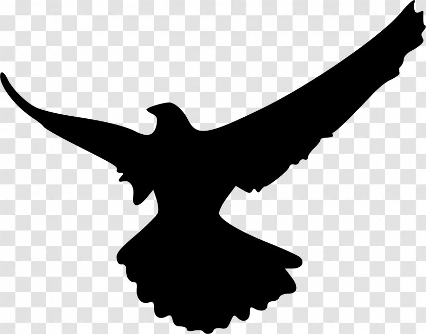 Falcon Silhouette Bird Clip Art - Eagle Transparent PNG