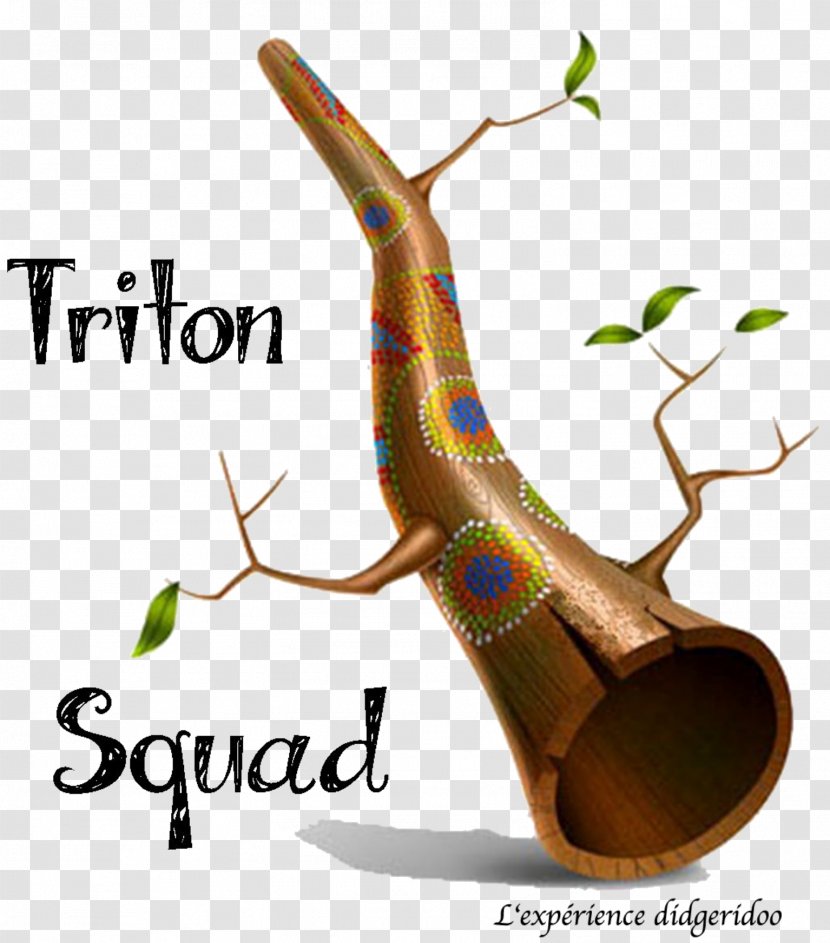 Triton Squad Gőték Concert Didgeridoo Tree - Health Care Transparent PNG