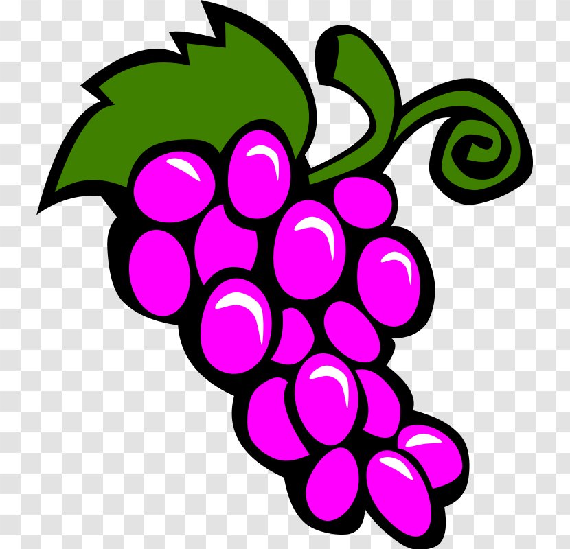 Common Grape Vine Wine Clip Art - Blog - Grapevine Clipart Transparent PNG