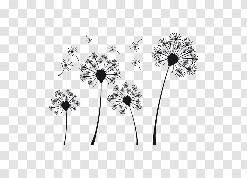 Dandelion Coffee Common Photography - Leaf - Monochrome Transparent PNG