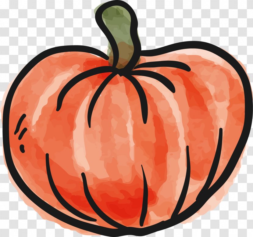 Jack-o'-lantern Gourd Pumpkin Portable Network Graphics Image - Cucumber - Kabocha Transparent PNG