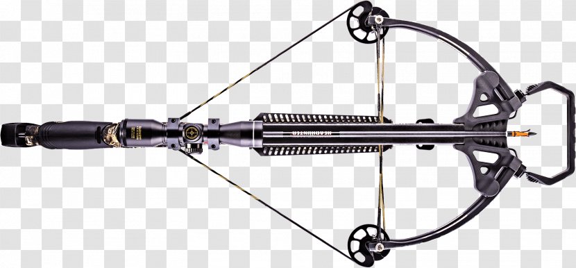 Crossbow Hunting Bow And Arrow Compound Bows - Energy - Archery Puppies Transparent PNG
