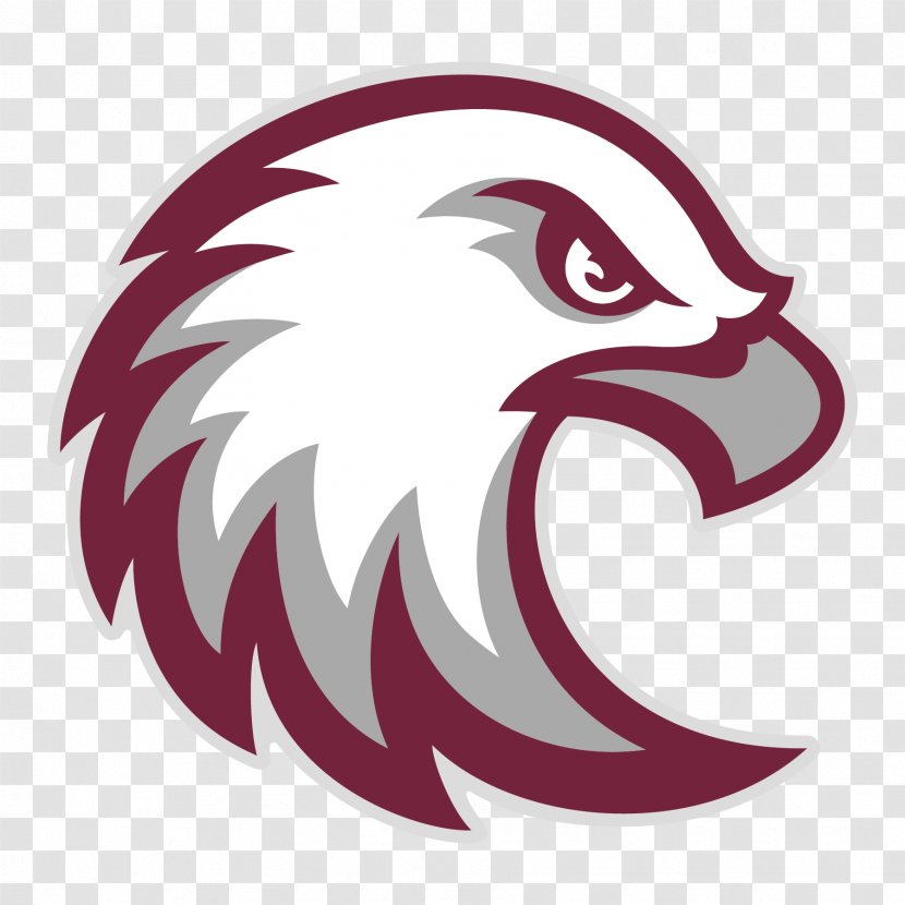 Augsburg University St. Olaf College Augustana Concordia Bethel - Fictional Character - School Transparent PNG