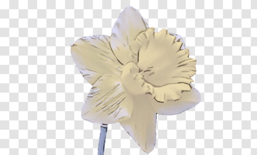 Feather - Beige - Cut Flowers Transparent PNG