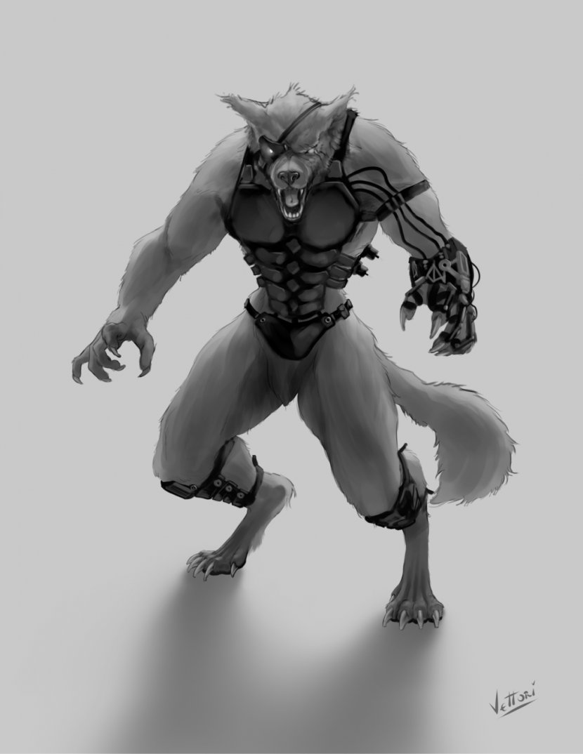 Gray Wolf Cyborg Digitigrade Cybernetics Drawing - Homo Sapiens Transparent PNG