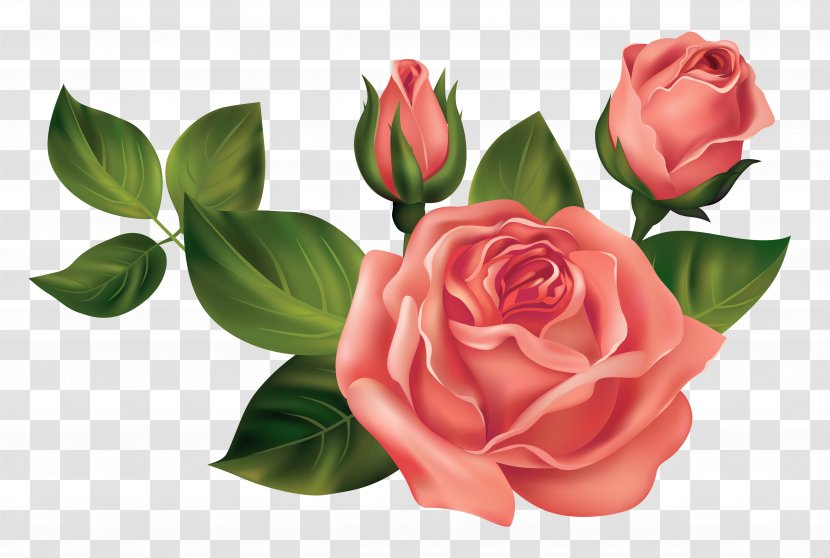Rose Clip Art - Artificial Flower - Transparent Roses Clipart Picture Transparent PNG