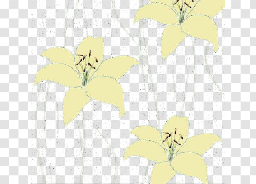 Floral Design Insect Cut Flowers Pattern - Plant - Pale Yellow Lily Transparent PNG