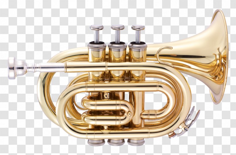 Cornet Pocket Trumpet Musical Instruments Brass - Flower Transparent PNG