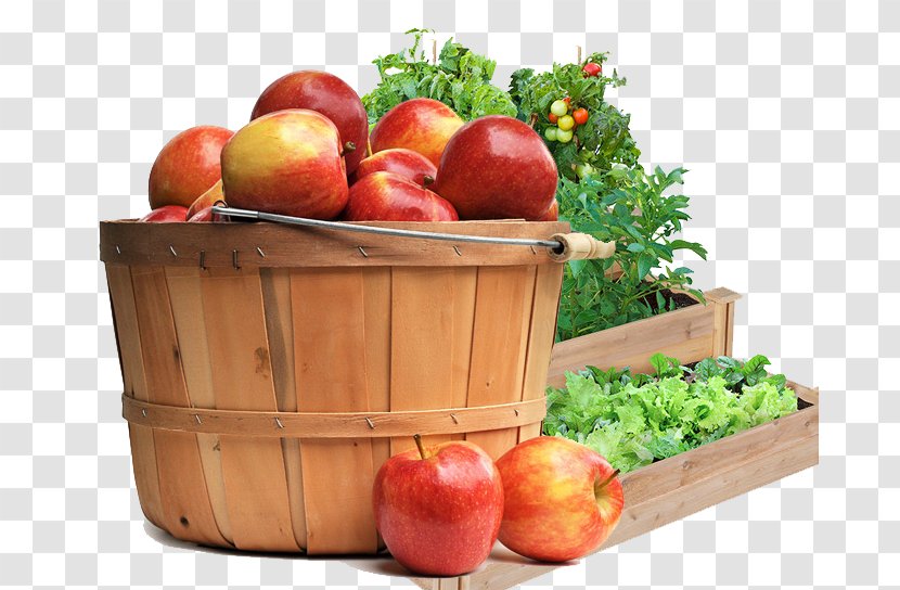 Raised-bed Gardening Fence The Home Depot - Barrels Of Apples Transparent PNG