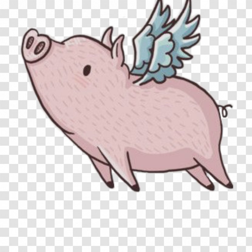 Pig Wing Image Miniature When Pigs Fly Transparent PNG