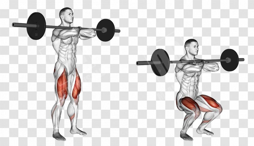 Squat Exercise Barbell Weight Training Vastus Medialis Transparent PNG