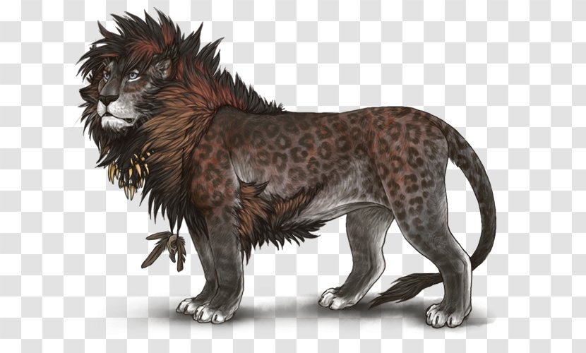 Cat Mammal Terrestrial Animal Carnivora - Carnivoran - Prize Throwing Transparent PNG