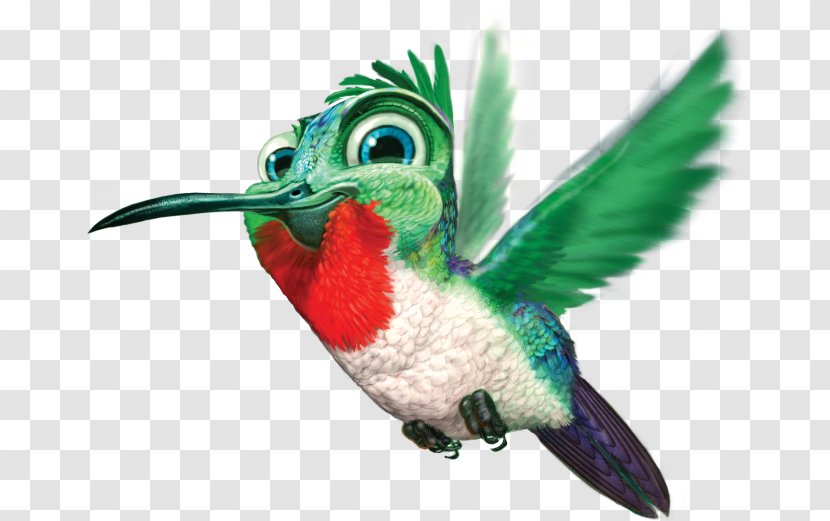 Hummingbird Clip Art - Image Resolution - Windows Thumbnail Cache Transparent PNG