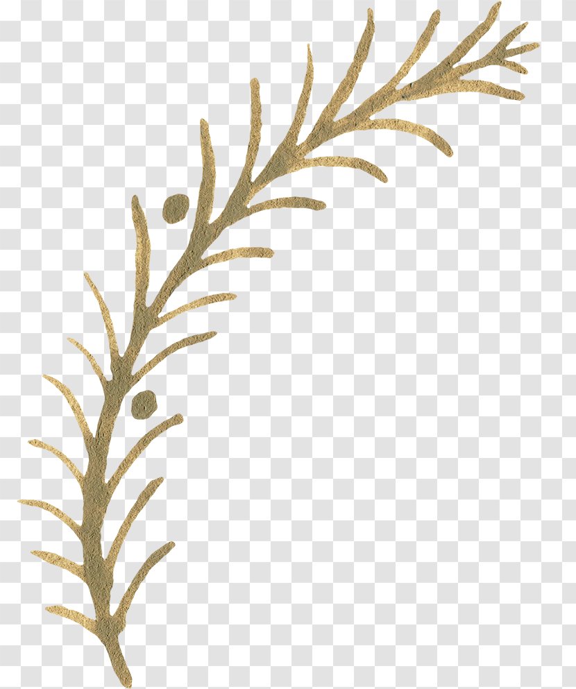 Twig Pattern - Branch - Hand-painted Plants Transparent PNG