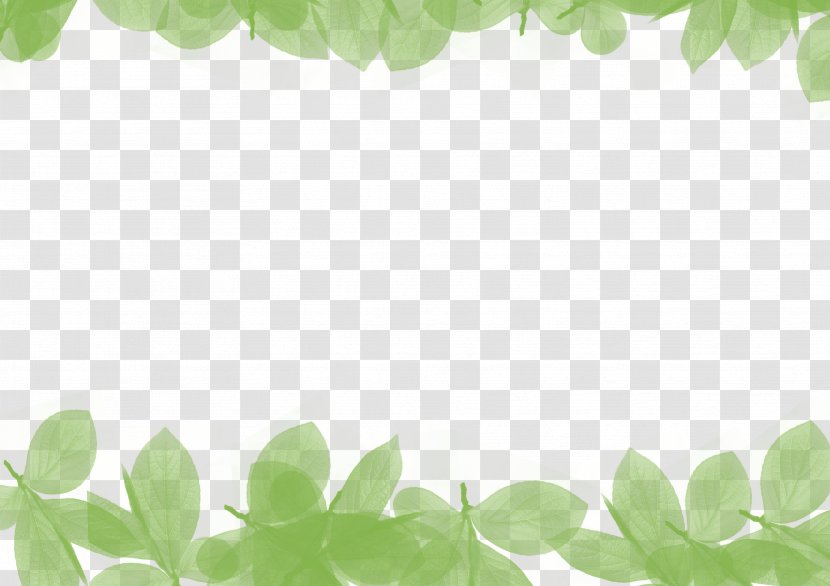 Leaf Green Computer File - Drawing - Decorative Background Material Transparent PNG