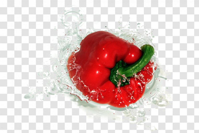 Bell Pepper Chili Vegetable Fruit Tomato - Paprika - Water, Red Transparent PNG