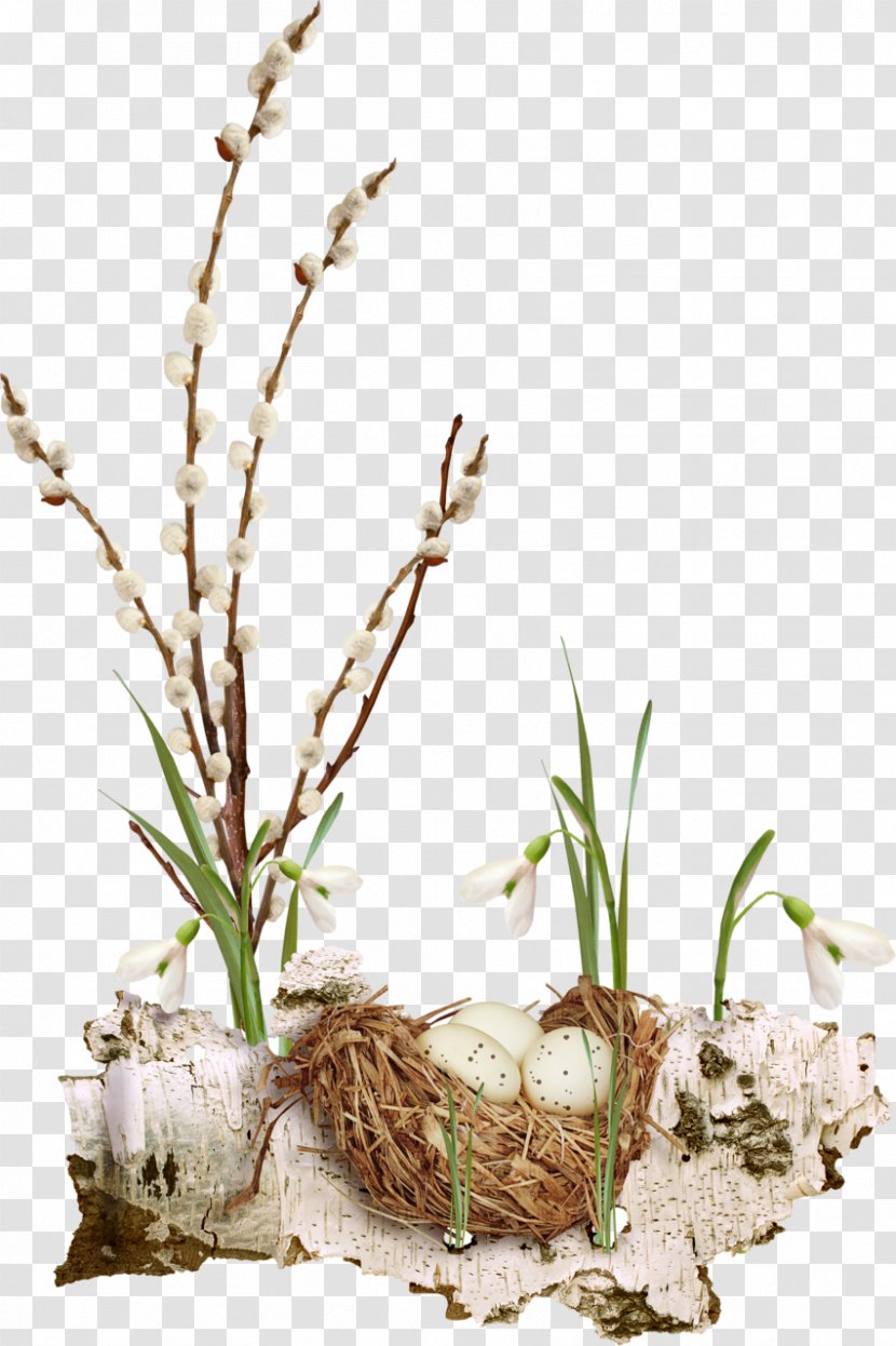 Easter Egg Christmas Clip Art - Plant Transparent PNG