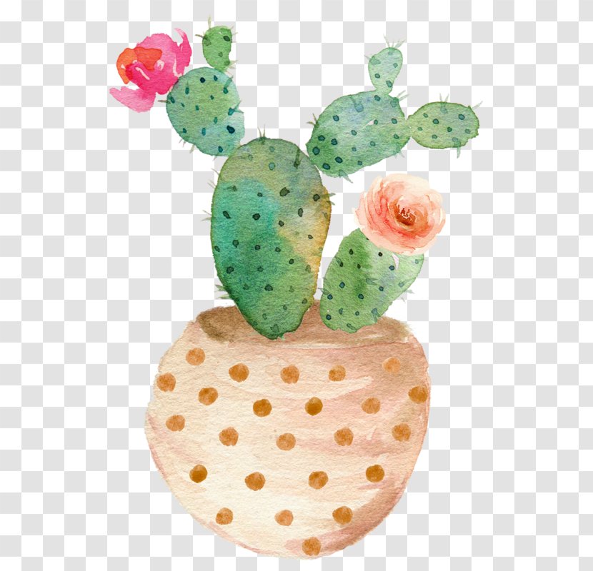 Watercolor Painting Succulent Plant Cactaceae Canvas - Flowering - Cactus Transparent PNG