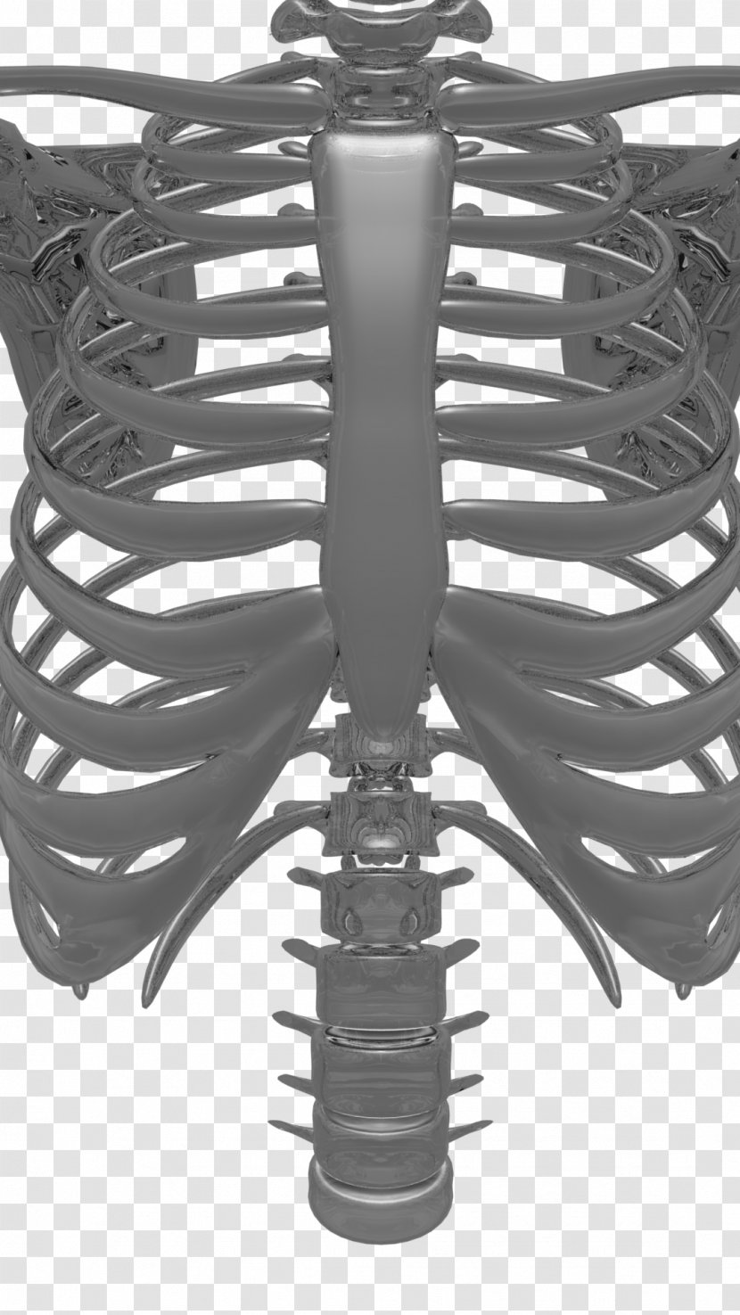 Product Design Skeleton Black - Mast Cell Activation Transparent PNG