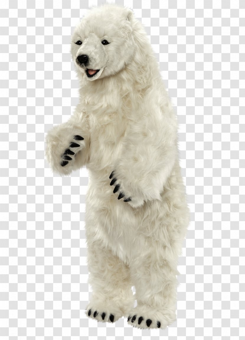 Standard Poodle Miniature Polar Bear - Silhouette Transparent PNG