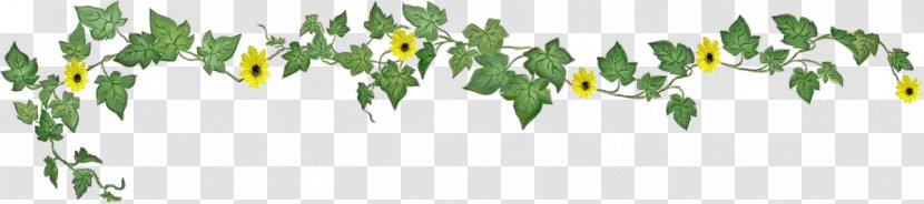 Grasses Plant Stem Character Leaf - Psychiatric Hospital - Flower Transparent PNG