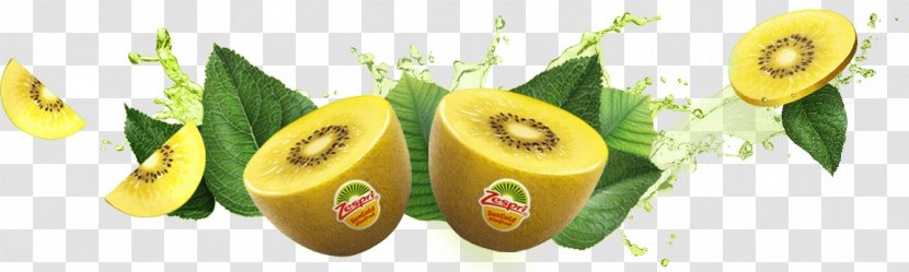 Kiwifruit Zespri International Limited Banana - Marketing - Kiwi Fruit Transparent PNG
