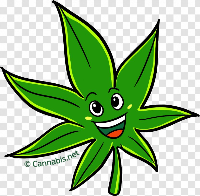 Kush Cannabis Sativa White Widow Cartoon - Green Transparent PNG
