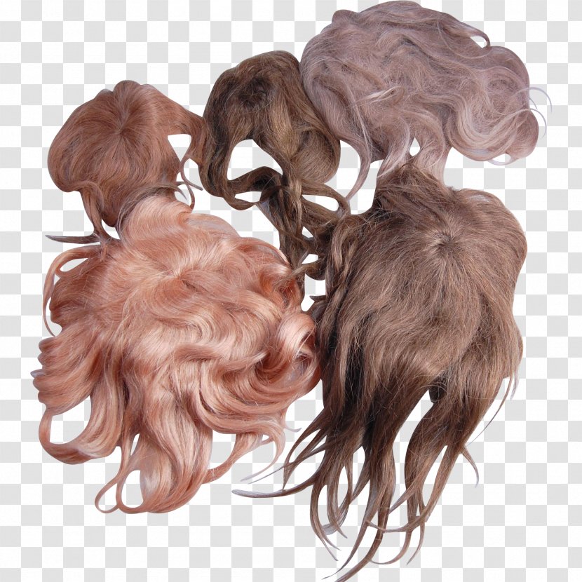 Long Hair Brown Coloring Wig - Human Transparent PNG