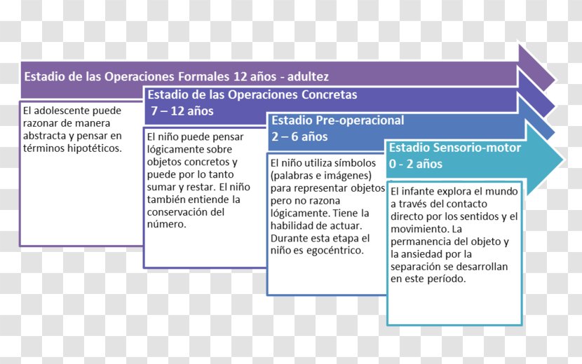 Piaget's Theory Of Cognitive Development Cognition Child Psychologist Transparent PNG