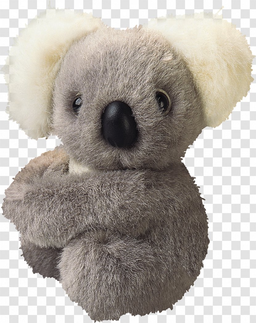 Koala Stuffed Animals & Cuddly Toys Ty Inc. Stock Photography - Flower Transparent PNG