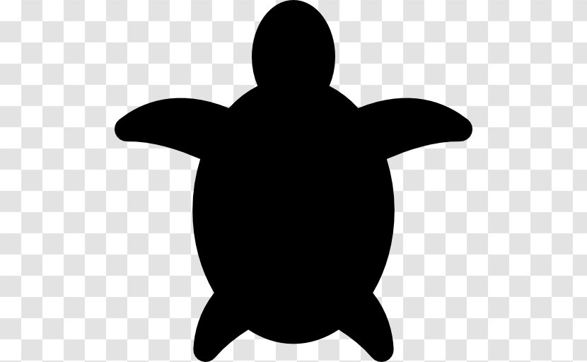 Turtle Tortoise Reptile Cheloniidae - Beak Transparent PNG