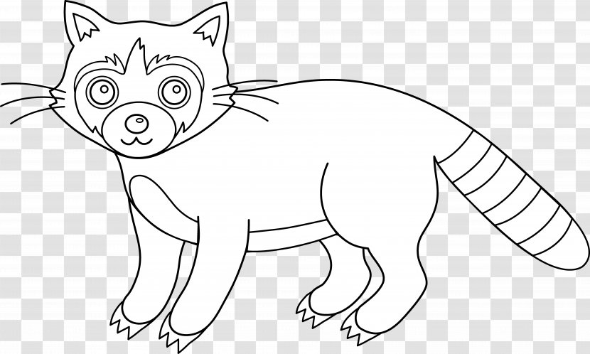 Raccoon Whiskers Line Art Clip - Drawing - Cliparts Transparent PNG
