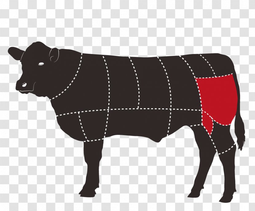 Angus Cattle Cut Of Beef Primal Steak - Bovine - Meat Transparent PNG