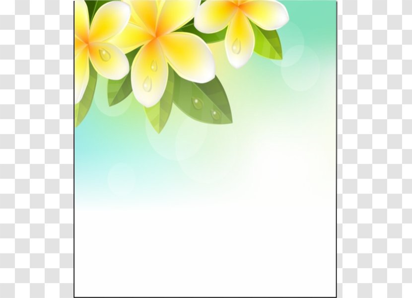 Photography Clip Art - Sky - Plumeria Transparent PNG