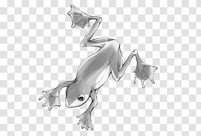 Canidae Dog Automotive Design Sketch - Mythical Creature Transparent PNG