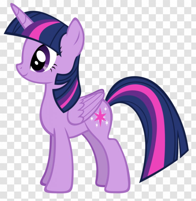 Twilight Sparkle Rainbow Dash My Little Pony Color - Horse Like Mammal Transparent PNG