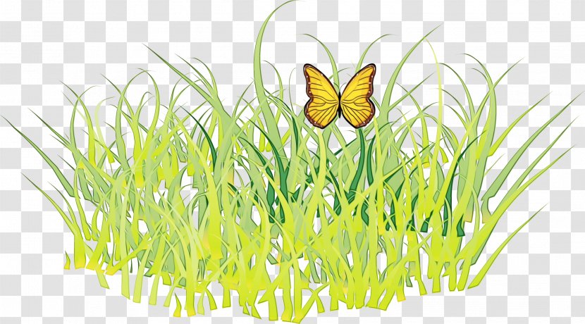 Watercolor Flower Background - M Butterfly - Pollinator Moths And Butterflies Transparent PNG