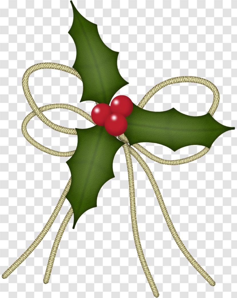Common Holly Machine Embroidery Christmas Plants Ornament - Flower - Sweet Peas Transparent PNG